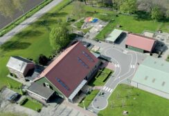 Bovenaanzicht Boterbloe
