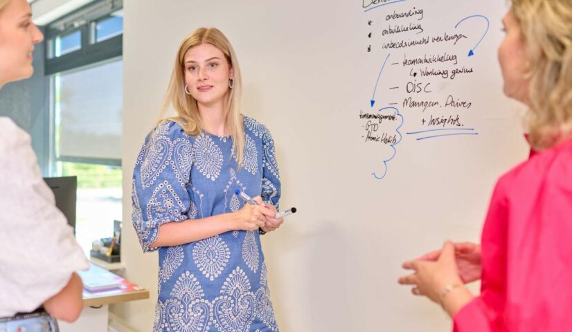 inzetbaarheid verzuim productiviteit NinePlus People